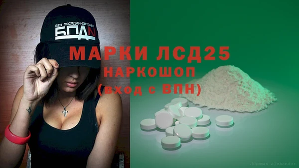 ГАЛЛЮЦИНОГЕННЫЕ ГРИБЫ Аркадак