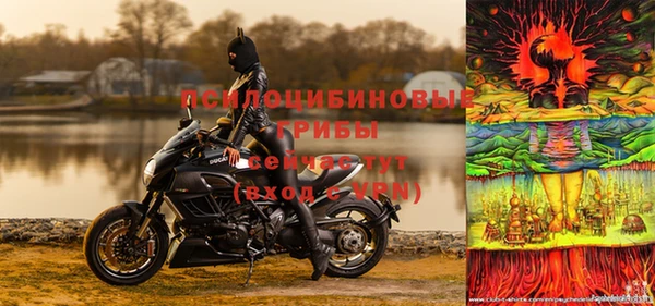 ALPHA PVP Армянск