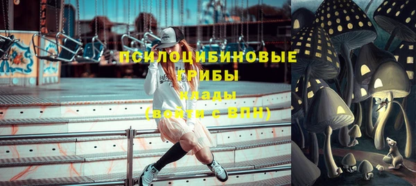 ГАЛЛЮЦИНОГЕННЫЕ ГРИБЫ Аркадак