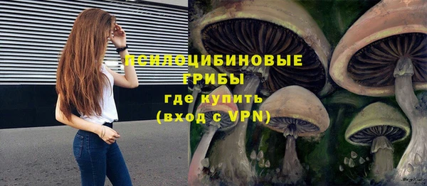 ALPHA PVP Армянск