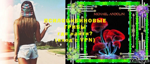 ГАЛЛЮЦИНОГЕННЫЕ ГРИБЫ Аркадак