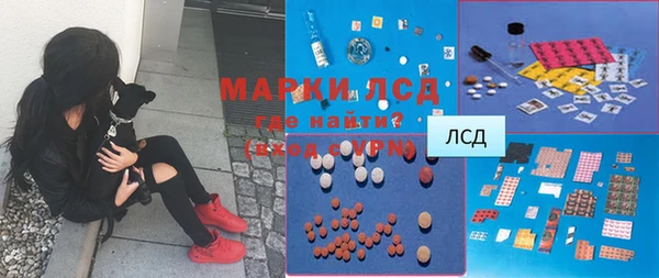 ГАЛЛЮЦИНОГЕННЫЕ ГРИБЫ Аркадак