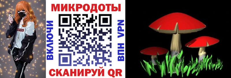 Псилоцибиновые грибы Cubensis  как найти закладки  Сосновоборск 